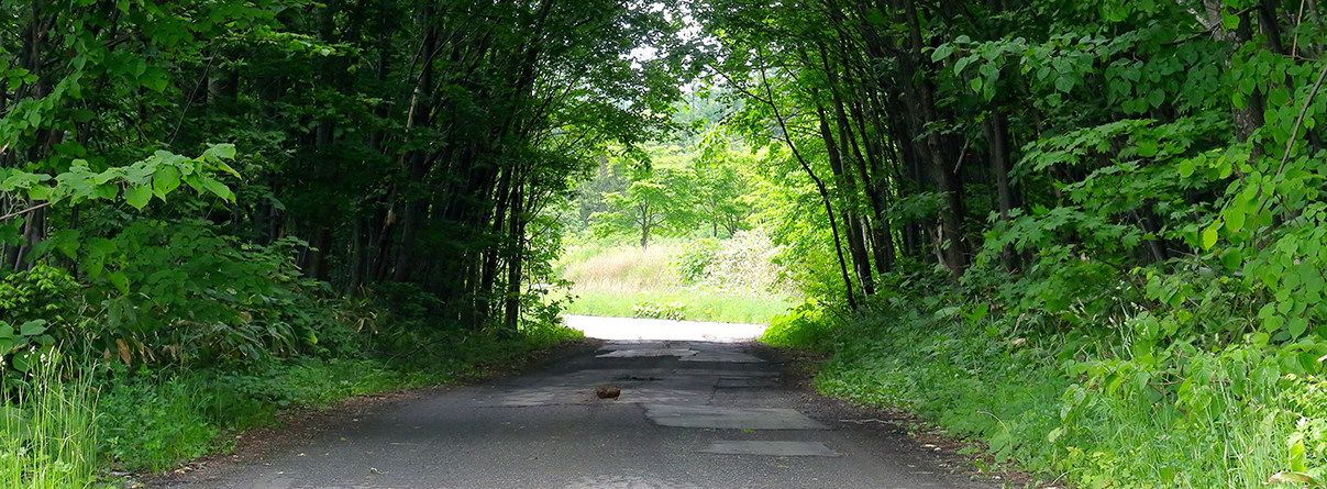 Forêt et sa proximité