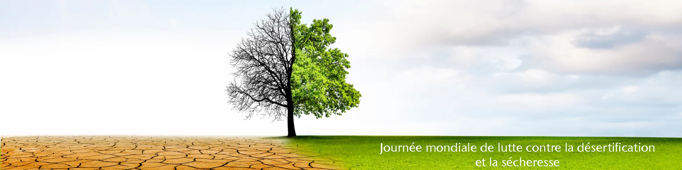 Header World Day To Combat Desertification Drought2