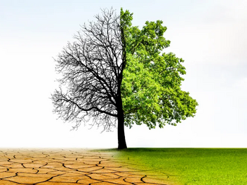 Header World Day To Combat Desertification Drought Teaser